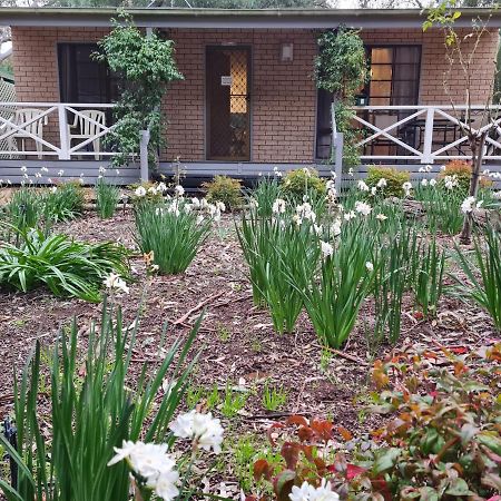 Barossa Country Cottages Lyndoch Екстер'єр фото