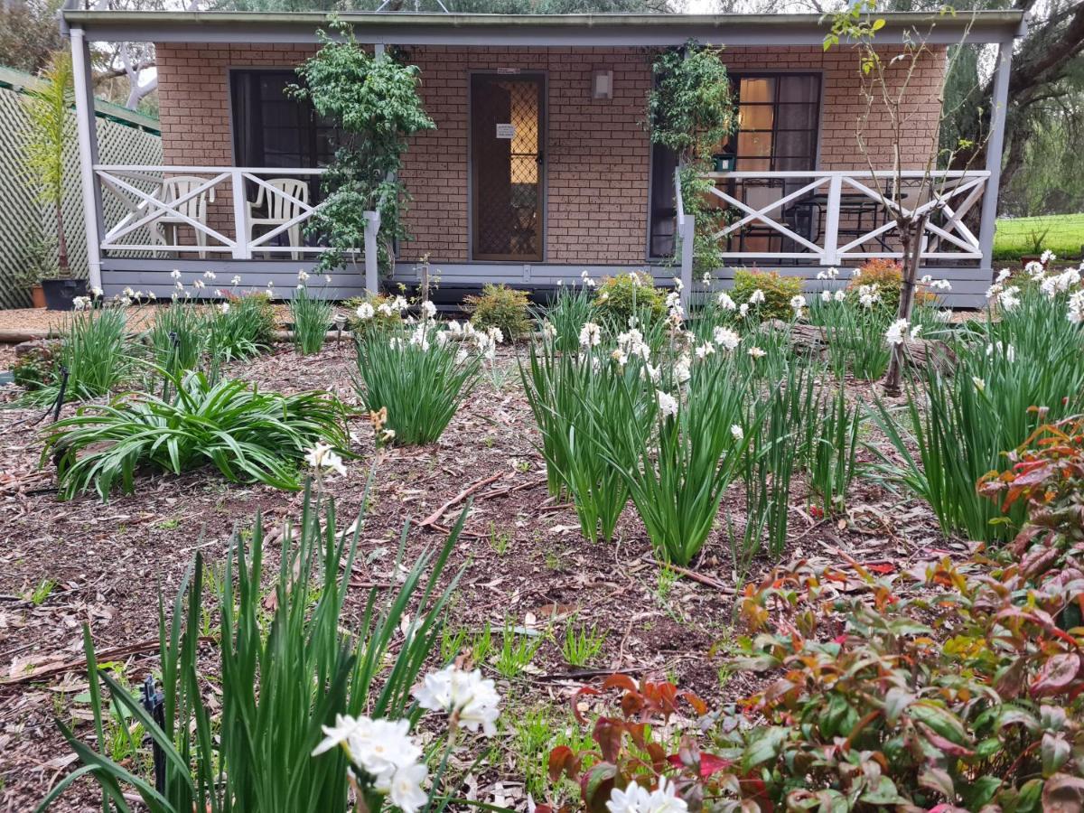 Barossa Country Cottages Lyndoch Екстер'єр фото